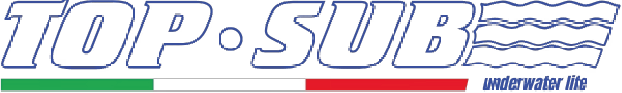 Logo Top Sub