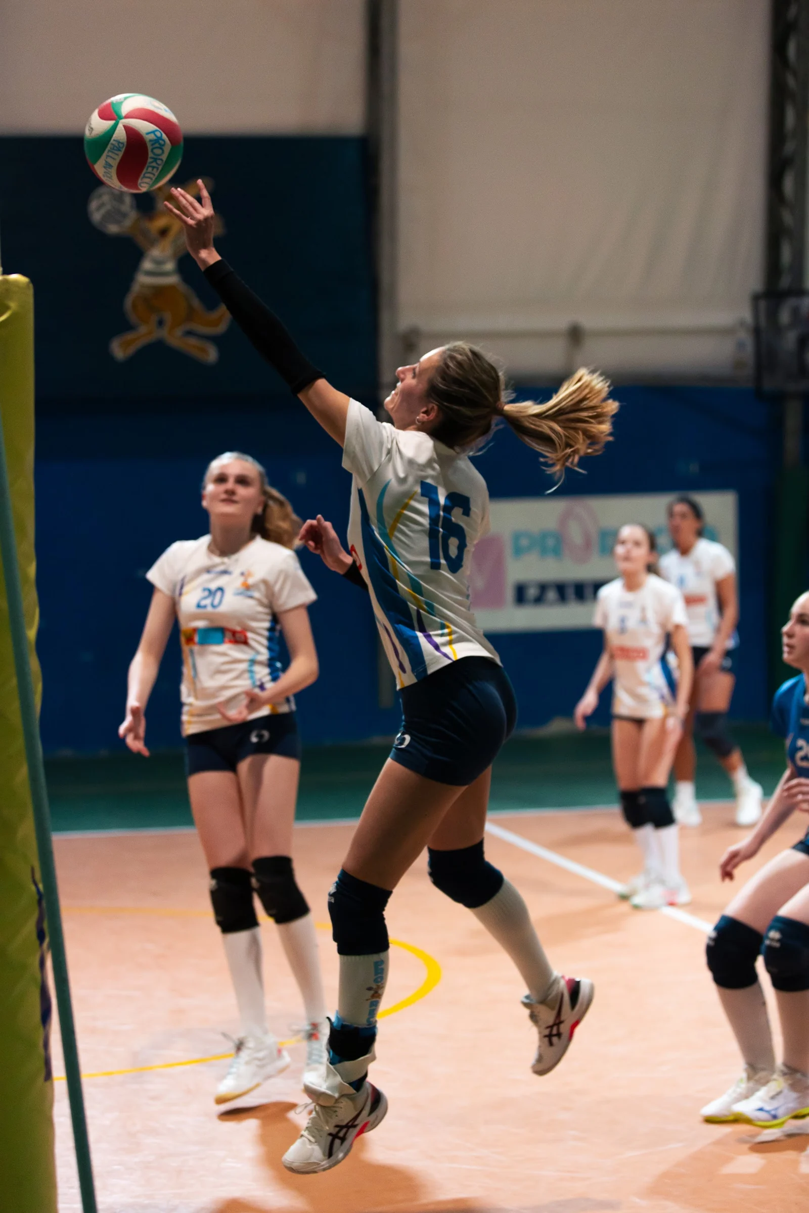 Pro Recco Pallavolo — attacco della numero 16